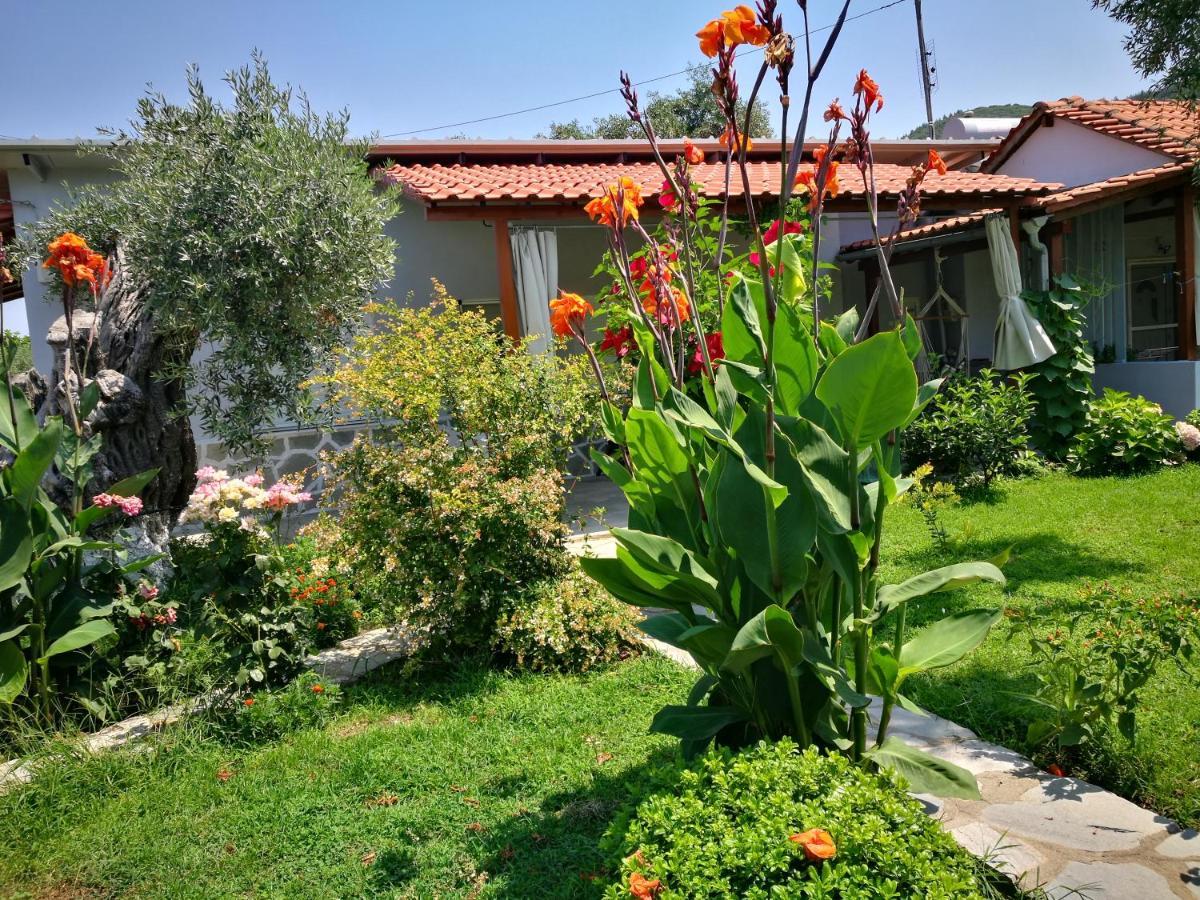 Cristi Apartments Skala Rachoni  외부 사진