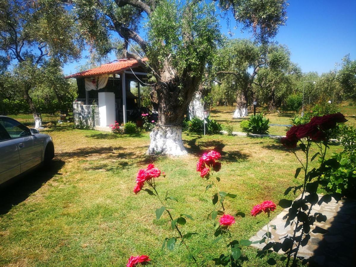 Cristi Apartments Skala Rachoni  외부 사진