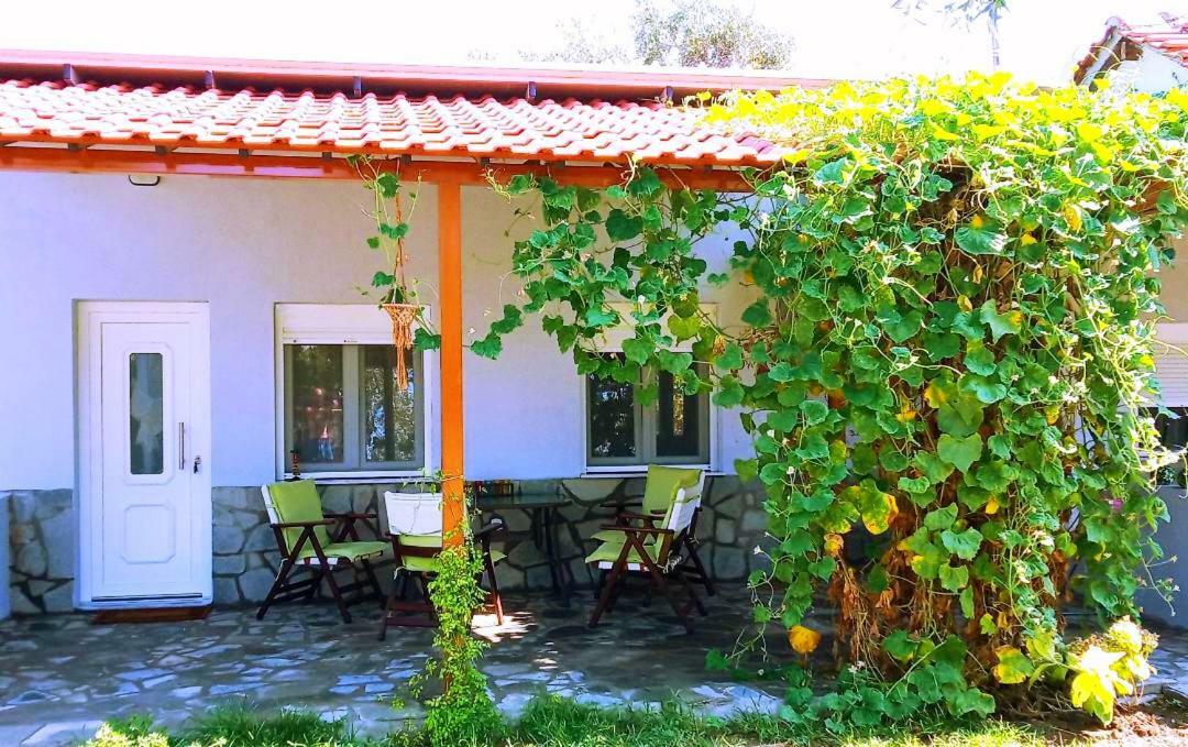 Cristi Apartments Skala Rachoni  외부 사진