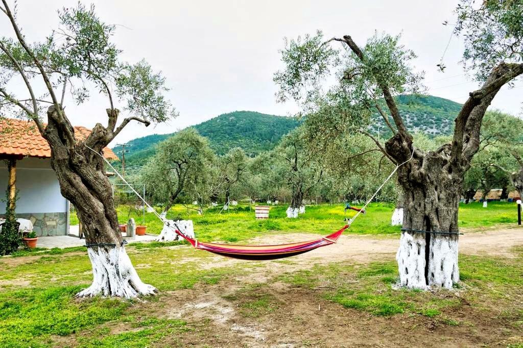 Cristi Apartments Skala Rachoni  외부 사진